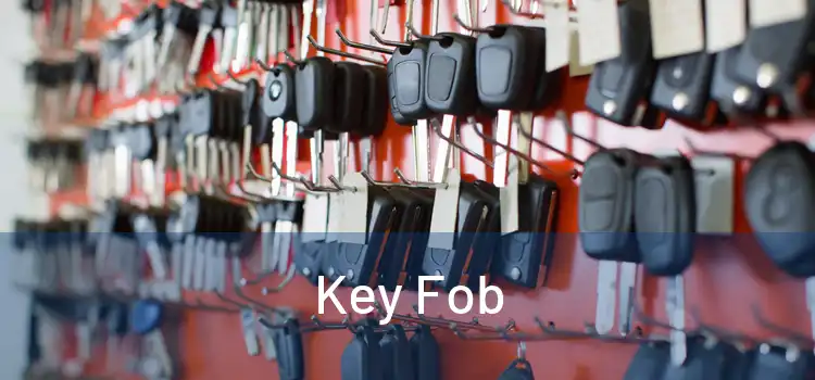  Key Fob 